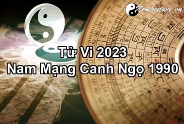 Xem bói tử vi năm Quý Mão 2023 nam Canh Ngọ 1990 - Luận giải chi tiết