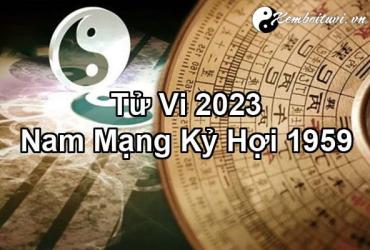 Xem bói tử vi năm Quý Mão 2023 nam Kỷ Hợi 1959 - Luận giải chi tiết