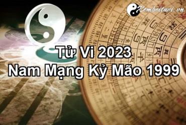 Xem bói tử vi năm Quý Mão 2023 nam Kỷ Mão 1999 - Luận giải chi tiết