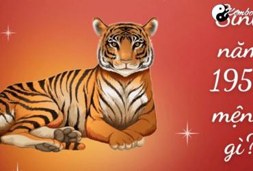 Sinh năm 1950 Canh Dần mệnh gì? Hợp tuổi gì? Hợp màu nào?