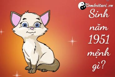 Sinh năm 1951 Tân Mão mệnh gì? Hợp tuổi gì? Hợp màu nào?