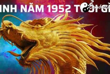 Sinh năm 1952 Nhâm Thìn mệnh gì? Hợp tuổi gì? Hợp màu nào?