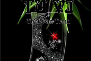 Khám Phá Bí Mật Lá Số Tử Vi Qua Tác Phẩm Kinh Điển Của Thái Vân Thình – Tải PDF Ngay!