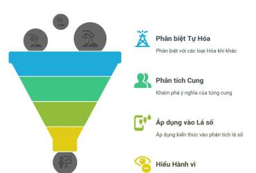 Khám Phá Bí Mật “Cung Tự Hóa” Trong Lá Số Tử Vi: Tải Ngay Bản PDF Để Luận Giải Vận Hạn Chính Xác