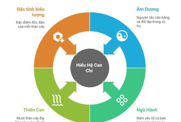 Hệ Can Chi: Nền Tảng Quan Trọng Trong Kinh Dịch