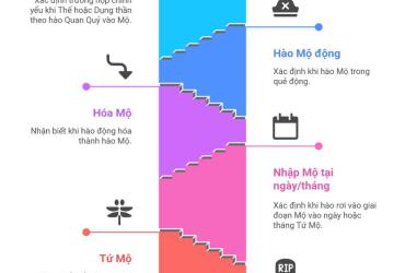 Tùy Quỷ nhập Mộ là gì? Khái niệm đặc biệt trong Tam Mộ
