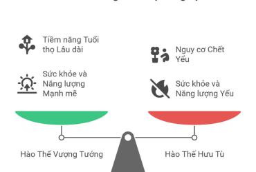 Thọ Nguyên - Nguyên tắc và Phân tích tuổi thọ trong Lục Hào