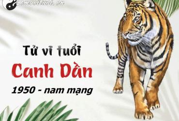 Sinh năm 1950 hợp màu gì? Bí quyết chọn màu phong thủy cho tuổi Canh Dần