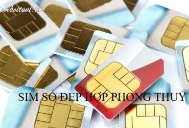 Khám Phá Con Số May Mắn Cho Người Sinh Năm 1951 Và Bí Quyết Chọn Sim Phong Thủy