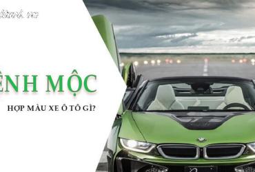 Sinh năm 1951 mua xe màu gì? Hướng dẫn chọn màu xe hợp phong thủy