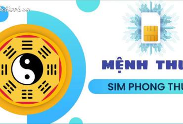 Khám Phá Bí Mật: Sinh Năm 1952 Hợp Số Nào Để Hút Tài Lộc Và May Mắn