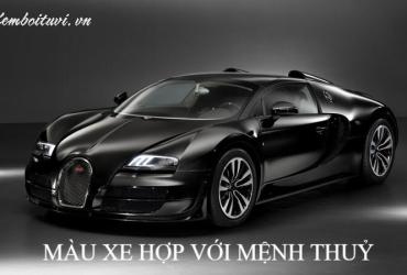 Sinh năm 1952 mua xe màu gì? Hướng dẫn chọn màu xe hợp phong thủy