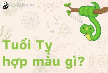 Sinh năm 1953 hợp màu gì? Giải mã phong thủy màu sắc cho tuổi Quý Tỵ