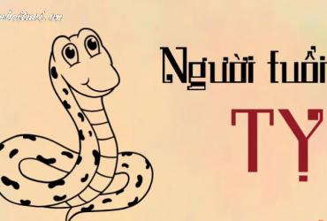 Khám Phá Bí Mật Số May Mắn Cho Người Sinh Năm 1953 – Cách Chọn Sim Phong Thủy Hút Tài Lộc