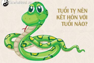 Sinh năm 1953 mệnh gì? Tìm hiểu tử vi và phong thủy người tuổi Quý Tỵ