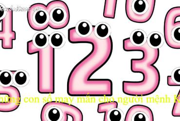 Khám Phá Bí Mật Số May Mắn Của Người Sinh Năm 1954 Và Cách Chọn Sim Phong Thủy Tài Lộc