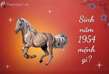 Sinh Năm 1954 Giáp Ngọ Mệnh Gì? Khám Phá Vận Mệnh Tuổi Ngựa