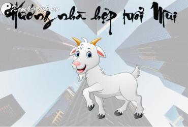 Sinh năm 1955 hợp hướng nào? Hướng dẫn đầy đủ cho tuổi Ất Mùi