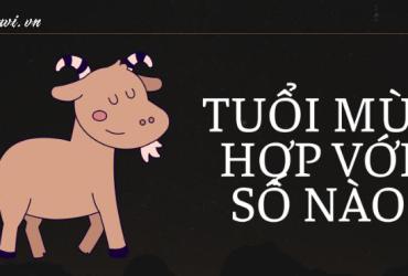 Khám Phá Bí Mật: Sinh Năm 1955 Hợp Số Nào Và Sim Phong Thủy Mang Lại Tài Lộc