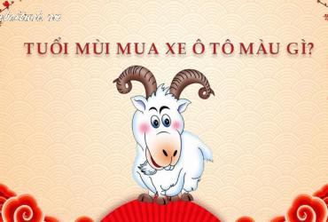 Sinh năm 1955 mua xe màu gì?