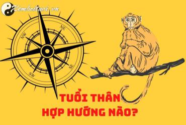 Sinh năm 1956 hợp hướng nào? Hướng dẫn đầy đủ về phong thủy tuổi Bính Thân