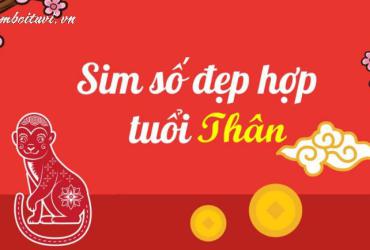 Bí Mật Số Hợp Tuổi 1956: Chọn Sim Phong Thủy Để Đón Tài Lộc và Bình An!