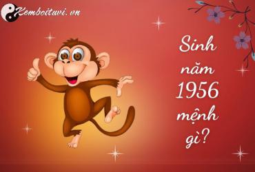 Sinh năm 1956 mệnh gì? Phân tích toàn diện về người tuổi Bính Thân