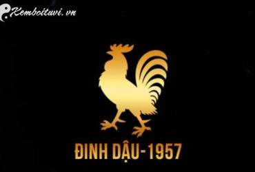 Sinh năm 1957 hợp màu gì? Phân tích chi tiết theo ngũ hành