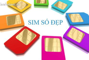 Khám Phá Con Số May Mắn Và Sim Phong Thủy Hợp Tuổi Đinh Dậu 1957