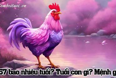 Sinh năm 1957 mệnh gì? Phân tích toàn diện về tuổi Đinh Dậu