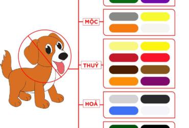 Sinh năm 1958 hợp màu gì? Lựa chọn màu sắc phong thủy cho tuổi Mậu Tuất