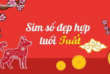 Khám Phá Bí Mật: Sinh Năm 1958 Hợp Số Mấy? Chọn Sim Phong Thủy Để Thu Hút Tài Lộc!