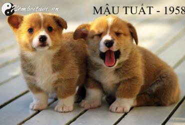 Sinh năm 1958 mệnh gì? Bình Địa Mộc và ý nghĩa phong thủy