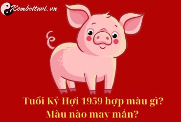 Sinh năm 1959 hợp màu gì? Khám phá màu sắc tương hợp cho tuổi Kỷ Hợi