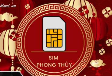 Khám Phá Con Số May Mắn Của Người Sinh Năm 1959: Bí Mật Phong Thủy Sim Số Đẹp!