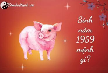 Sinh năm 1959 mệnh gì? - Phân tích đầy đủ về tuổi Kỷ Hợi