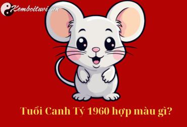 Sinh năm 1960 hợp màu gì? - Bí quyết chọn màu sắc phong thủy cho tuổi Canh Tý