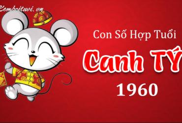 Sinh năm 1960 mệnh gì? Phân tích tử vi và phong thủy tuổi Canh Tý