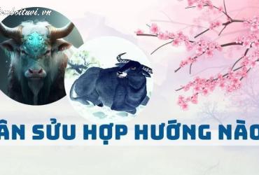 Sinh năm 1961 hợp hướng nào? Phân tích chi tiết phong thủy tuổi Tân Sửu