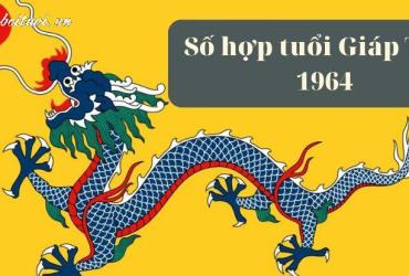 Khám Phá Con Số May Mắn Và Sim Phong Thủy Giúp Tuổi Nhâm Thìn 1964 Thu Hút Tài Lộc!