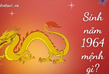 Sinh Năm 1964 Giáp Thìn Mệnh Gì? Bí Mật Vận Mệnh Tuổi Rồng