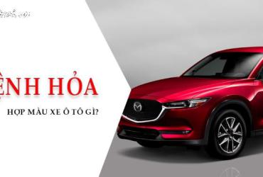 Sinh năm 1964 mua xe màu gì? Hướng dẫn chi tiết theo phong thủy