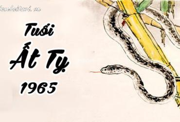 Sinh Năm 1965 Hợp Màu Gì? Lựa Chọn Màu Sắc May Mắn Cho Tuổi Ất Tỵ