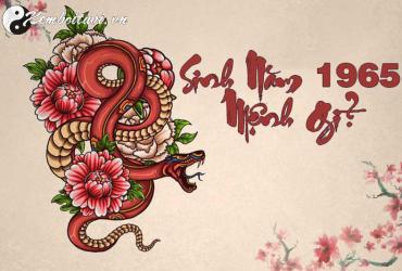 Sinh năm 1965 mệnh gì? Tổng quan về người tuổi Ất Tỵ