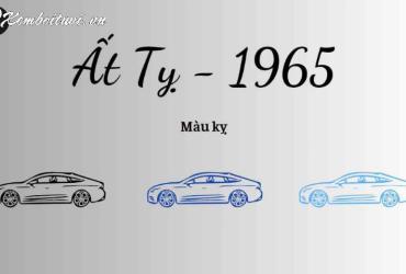 Sinh năm 1965 mua xe màu gì?