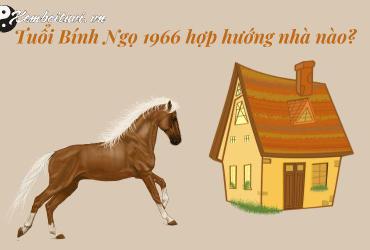 Sinh năm 1966 hợp hướng nào? Hướng dẫn đầy đủ về phong thủy cho tuổi Bính Ngọ