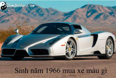 Sinh năm 1966 mua xe màu gì? Phân tích phong thủy chi tiết