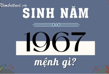 Sinh năm 1967 mệnh gì? Phân tích đầy đủ về phong thủy tuổi Đinh Mùi