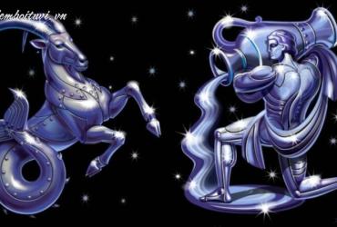 Giải Mã Cung Hoàng Đạo Tháng 1: Ma Kết Hay Bảo Bình?