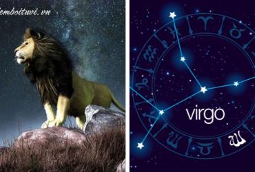 Giải Mã Cung Hoàng Đạo Tháng 8: Sư Tử hay Xử Nữ?